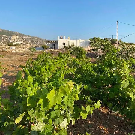 Sea La Vue Дом отдыха Лефкос-Карпату