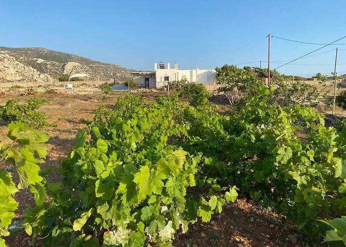 Sea La Vue Tatil Evi Lefkos (Karpathos)